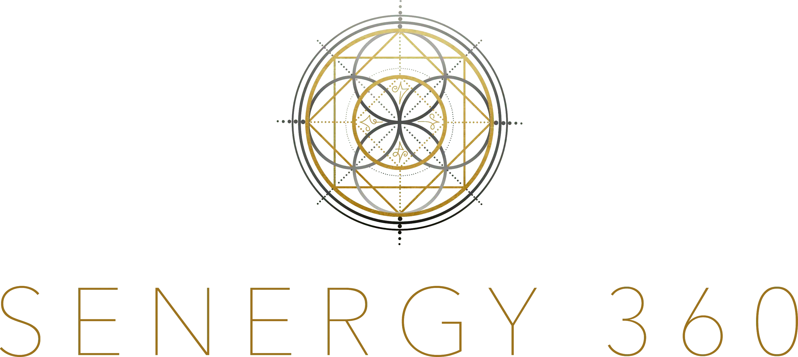 Senergy 360