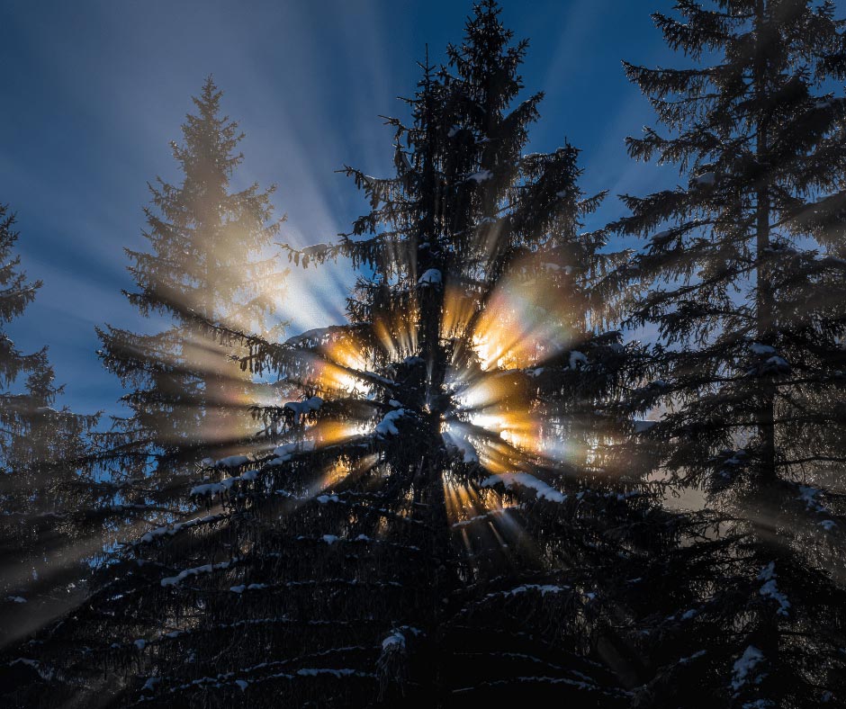 9 Benefits of Circadian Lighting - Inspired Technology to Help You Live Better