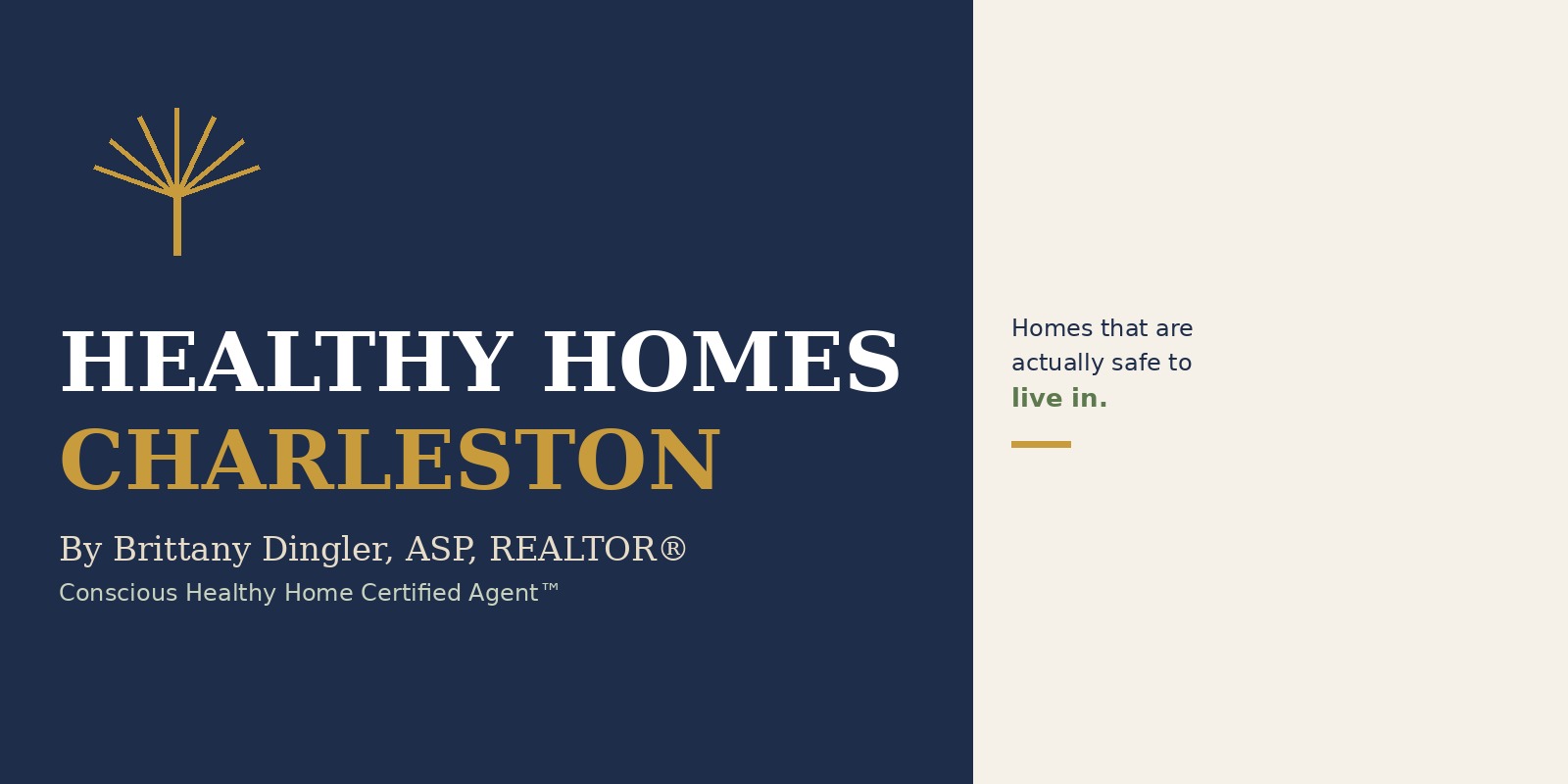 Healthy Homes Charleston