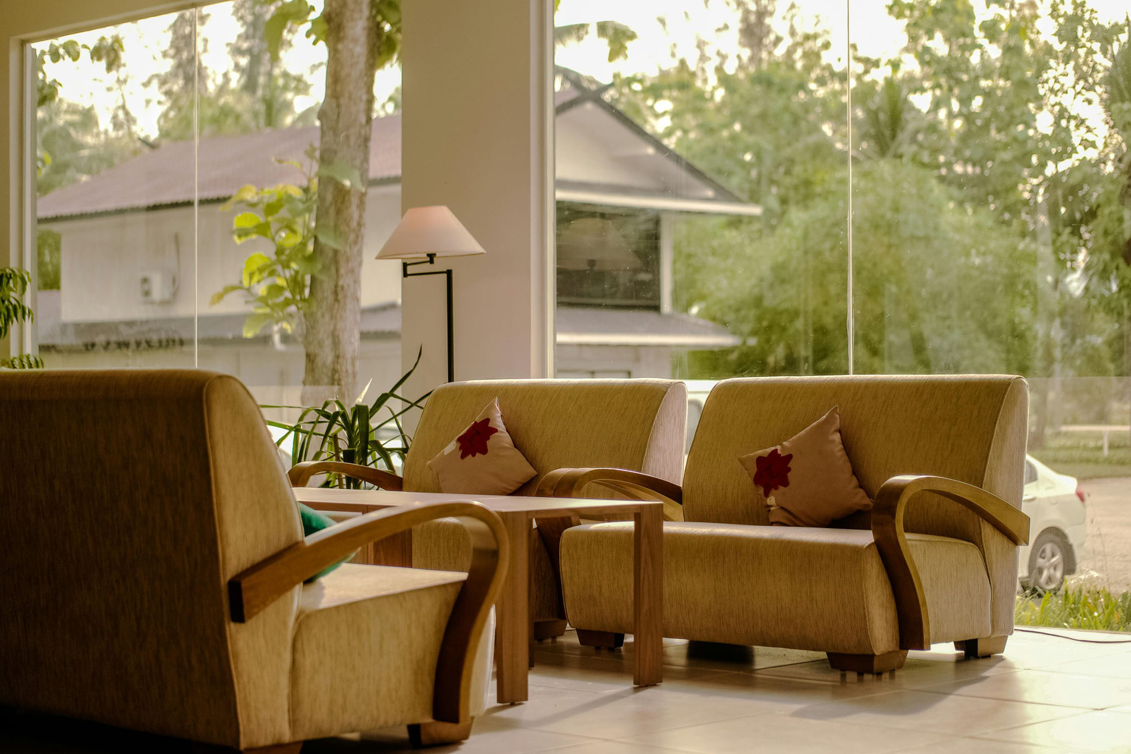 Healthy Living Room