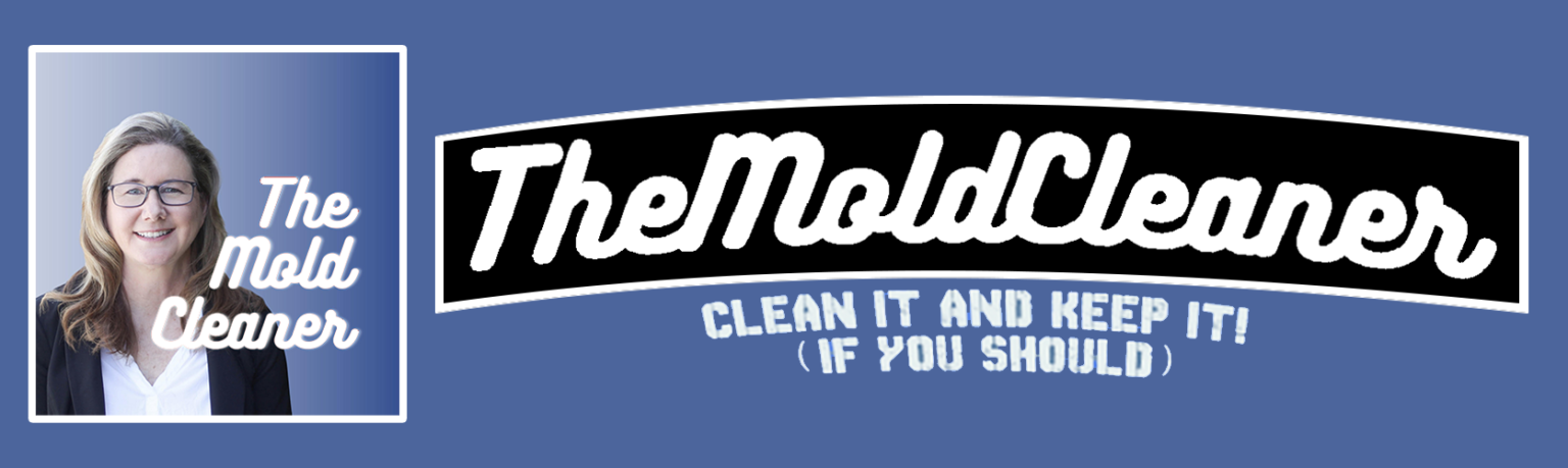 Lori Young | The Mold Cleaner