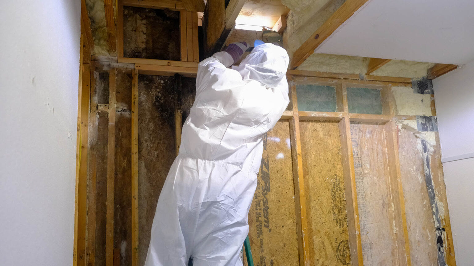 Mold remediation hero photo — technician in PPE addressing affected drywall
