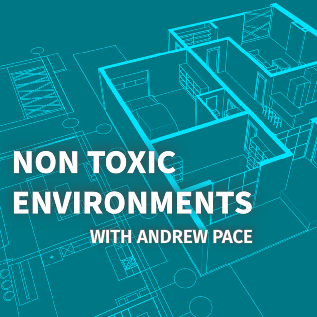 Non Toxic Environments podcast cover art — 3D home blueprint on teal